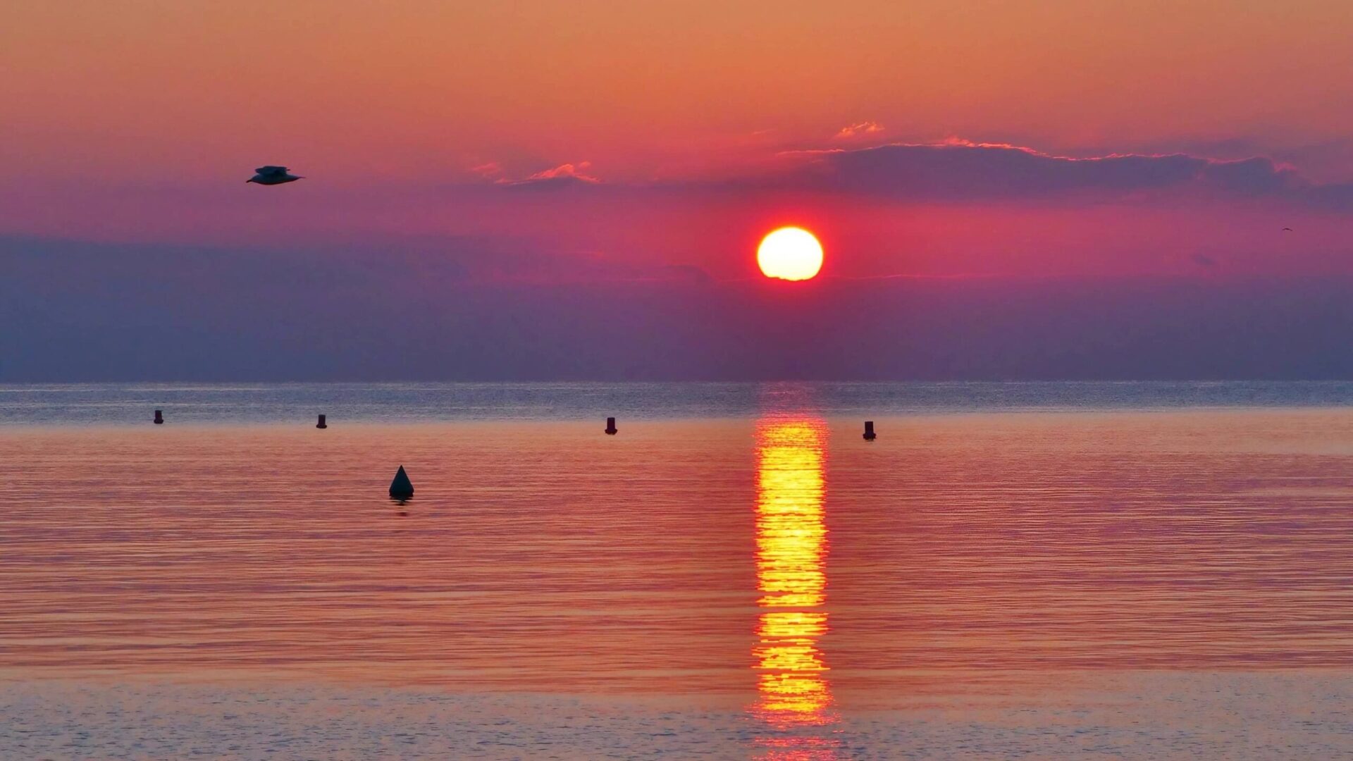 Lever du soleil à Cavalaire