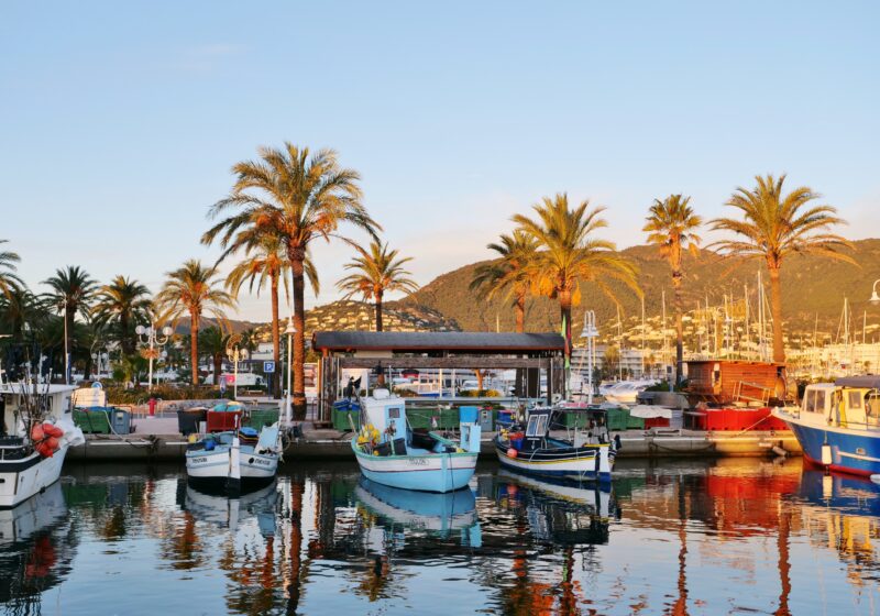 Quay of Cavalaire's traditional fishing boats and its fishermen's auction